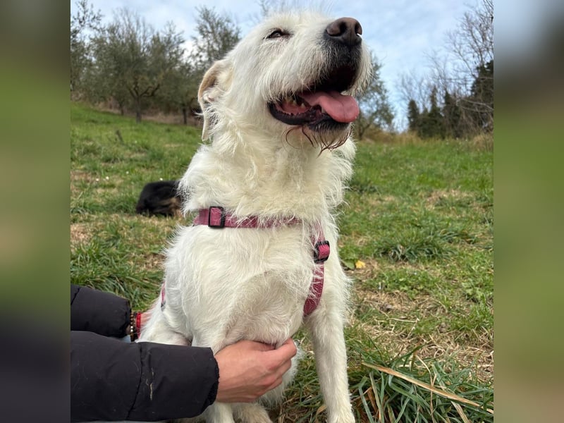 Bianca - liebevoll, zugewandt und bereit für ihr neues Leben