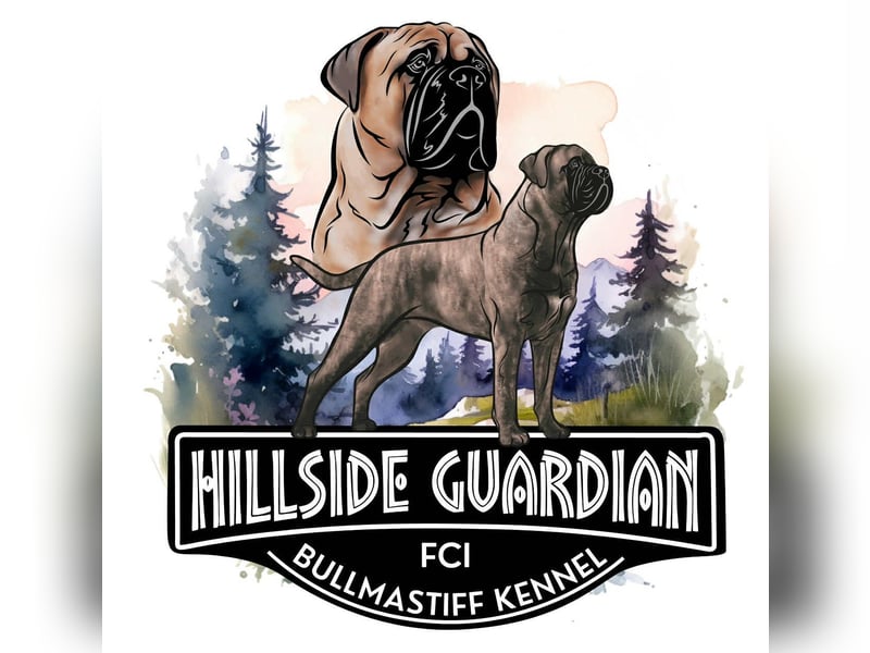 Bullmastiff welpen