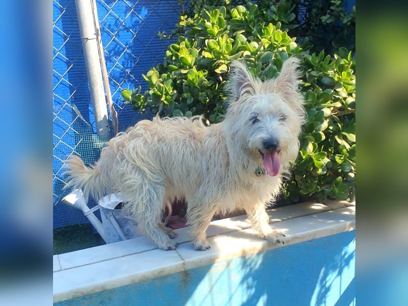 MAGGIE – bezaubernder Wirbelwind