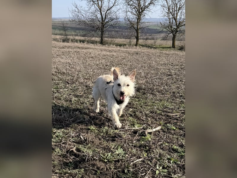 Schüchterner Benno sucht seine Menschen
