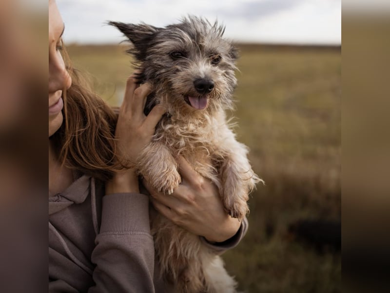 Mauricio ein tapferer Schatz