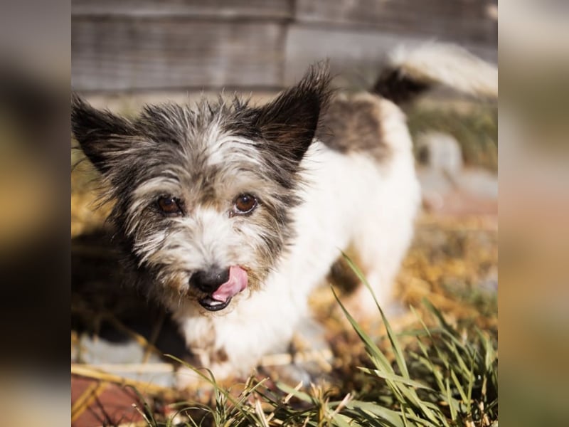 Mauricio ein tapferer Schatz