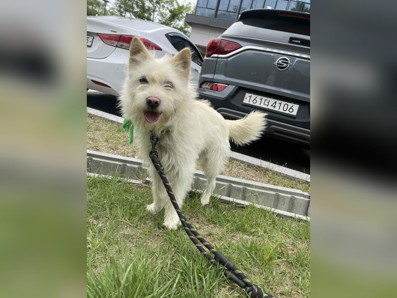 LEE sucht dringend ein Zuhause