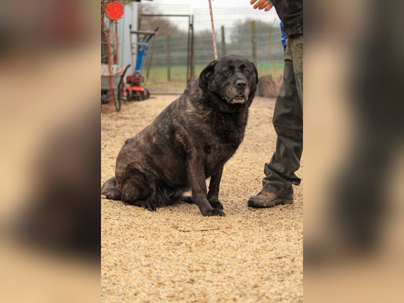 Xénia VA - verträglich