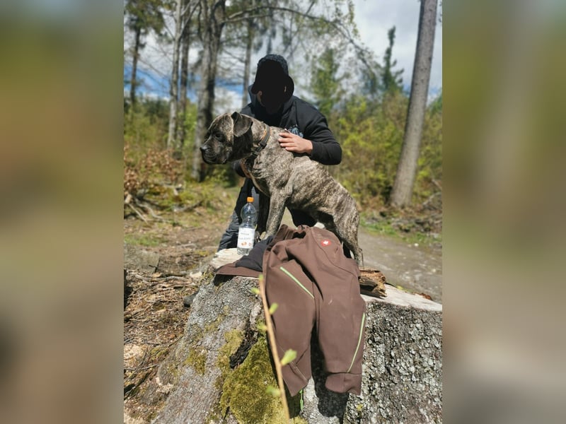 Saupacker vom Themnitztal