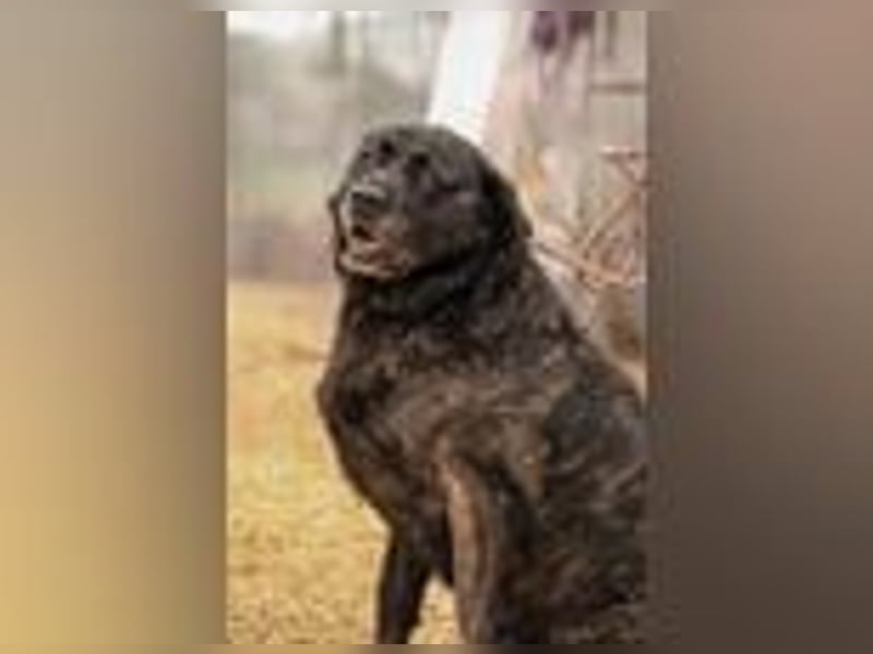 Xénia VA - verträglich