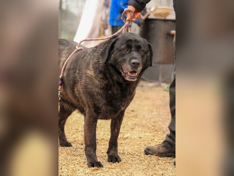 Xénia VA - verträglich