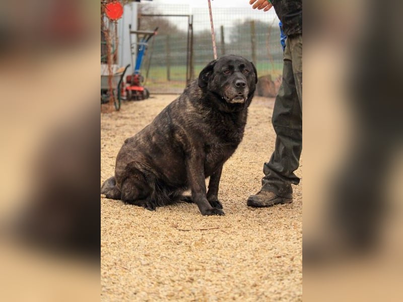 Xénia VA - verträglich