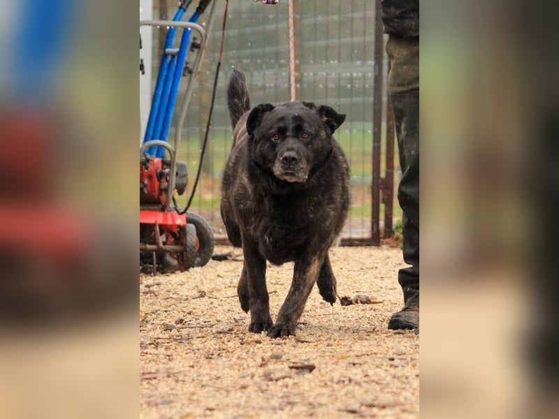 Xénia VA - verträglich