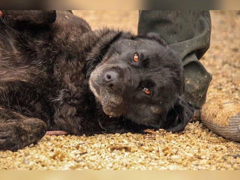 Xénia VA - verträglich