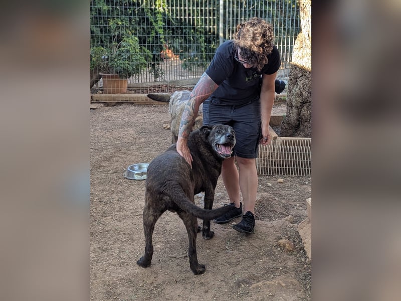 verschmuster Papy wünscht sich sein Zuhause