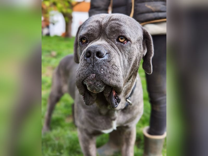 Bounty sucht dringend eine Pflege- oder Endstelle