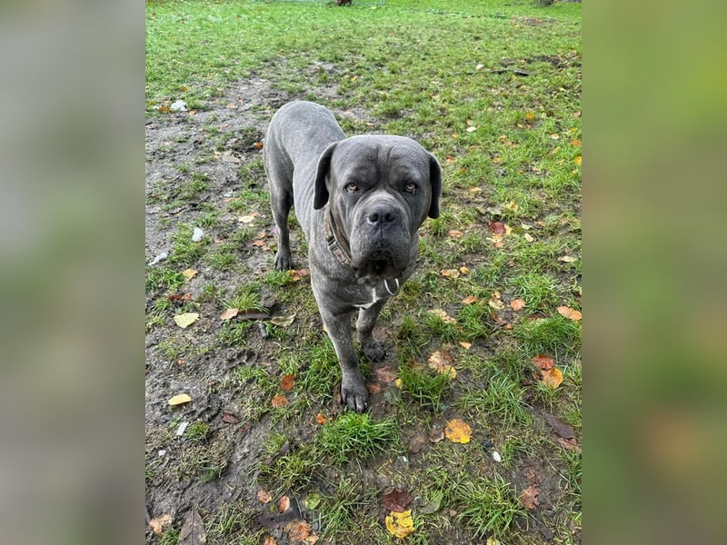 Bounty sucht dringend eine Pflege- oder Endstelle