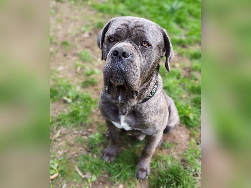 Bounty sucht dringend eine Pflege- oder Endstelle