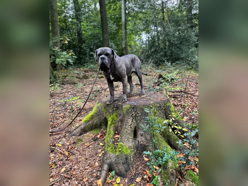 Bounty sucht dringend eine Pflege- oder Endstelle