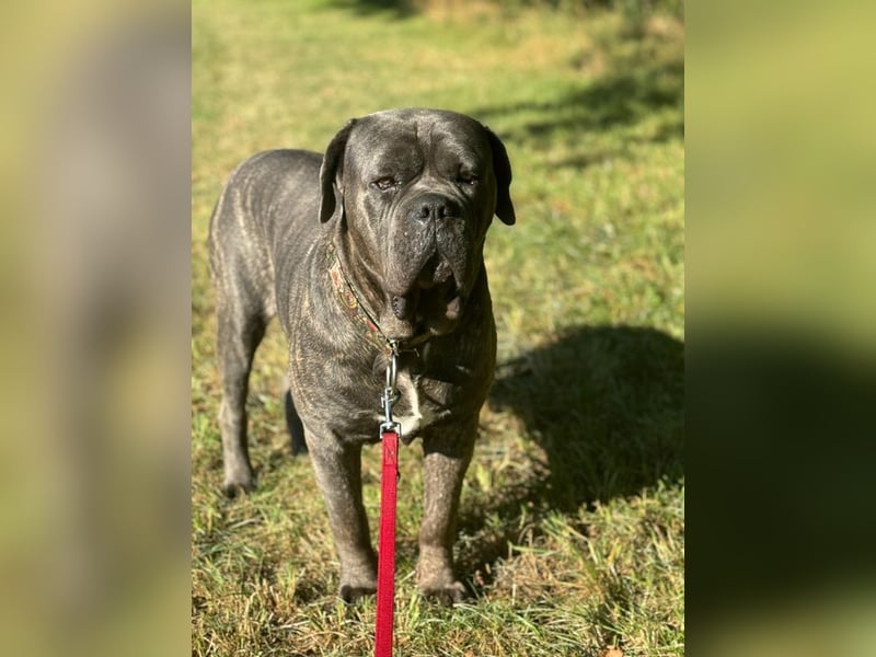 Bounty sucht dringend eine Pflege- oder Endstelle