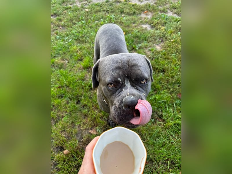 Bounty sucht dringend eine Pflege- oder Endstelle