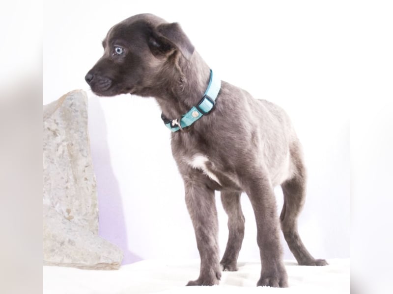 Noelly - voller Lebensfreude