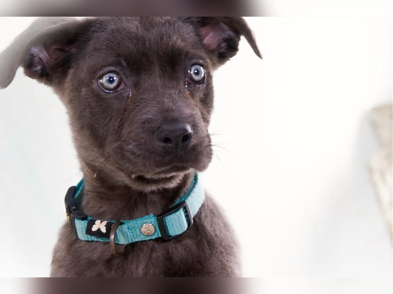 Noelly - voller Lebensfreude