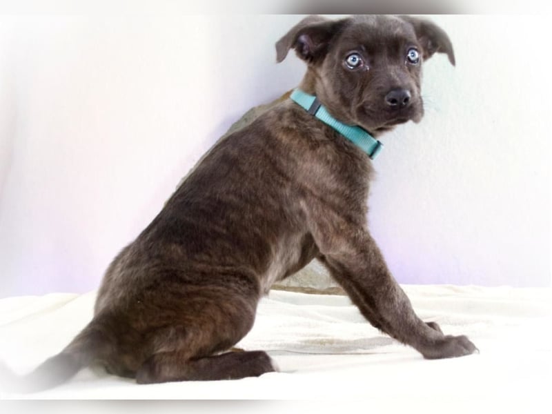 Noelly - voller Lebensfreude