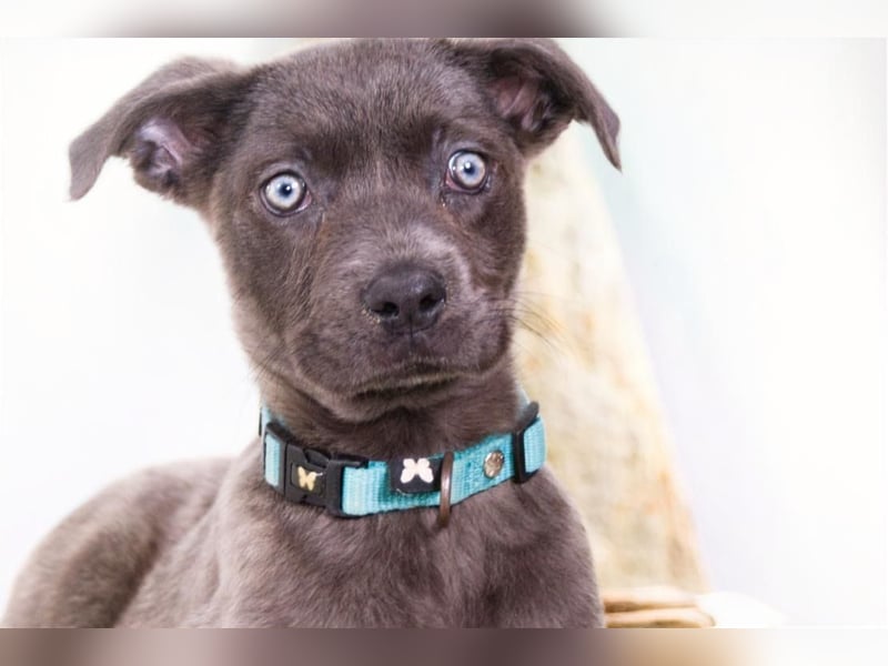 Noelly - voller Lebensfreude