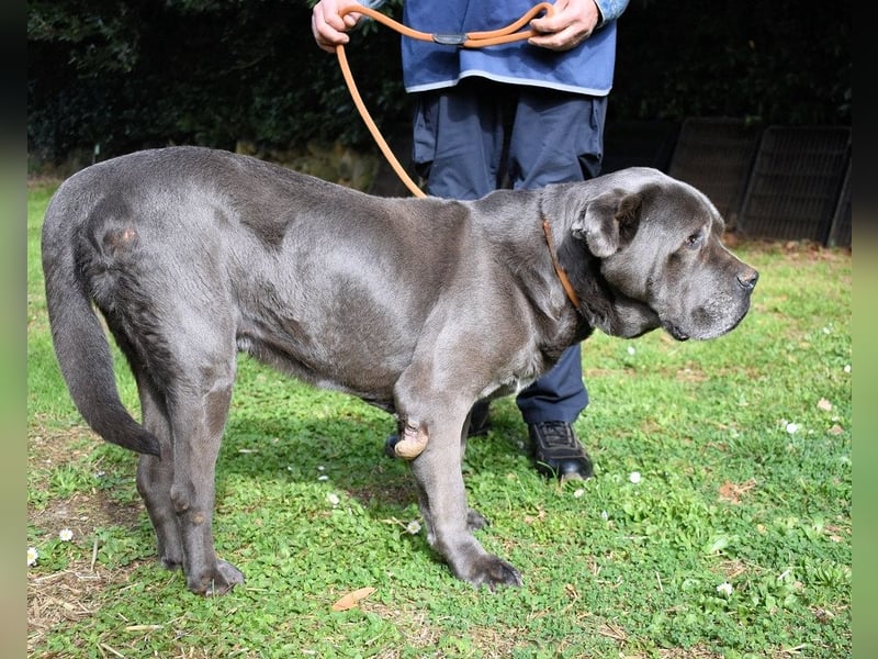 Arkell - Notall - Spuren, die keiner gegangen ist.