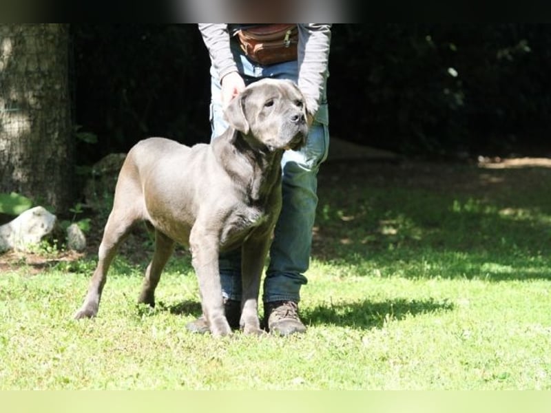 Arkell - SOS - hat Probleme mit den Augen