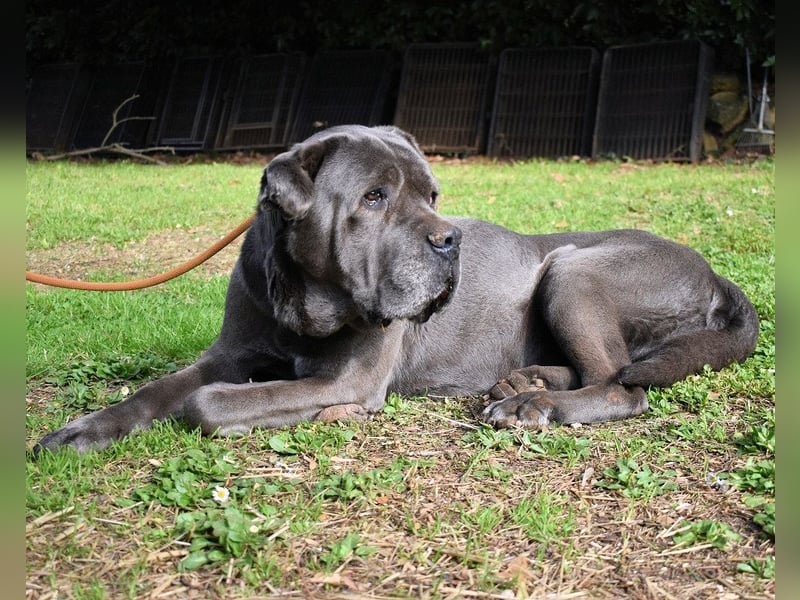 Arkell - Notall - Spuren, die keiner gegangen ist.