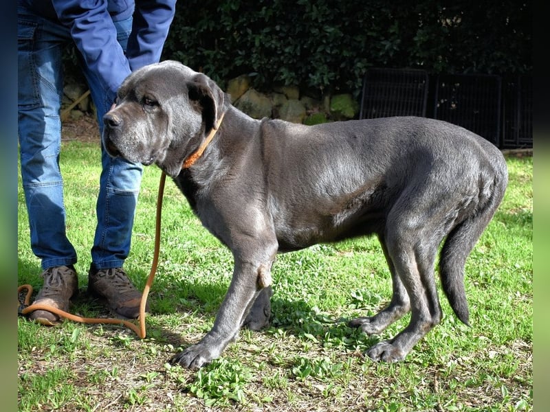 Arkell - Notall - Spuren, die keiner gegangen ist.