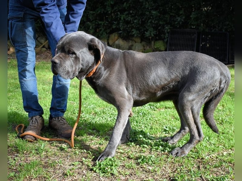 Arkell - Notall - Spuren, die keiner gegangen ist.