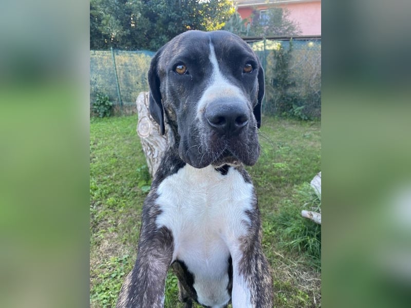 Mars - Sie hatten es doch so fest versprochen!