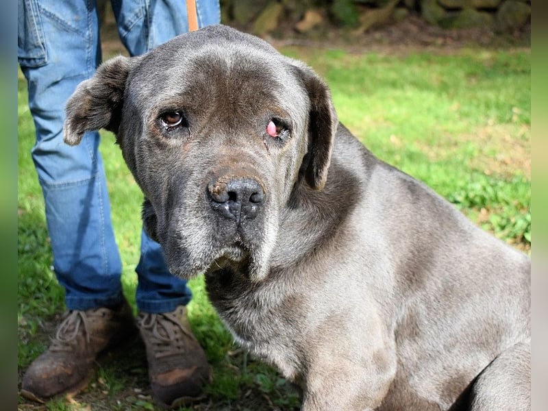 Arkell - Notall - Spuren, die keiner gegangen ist.