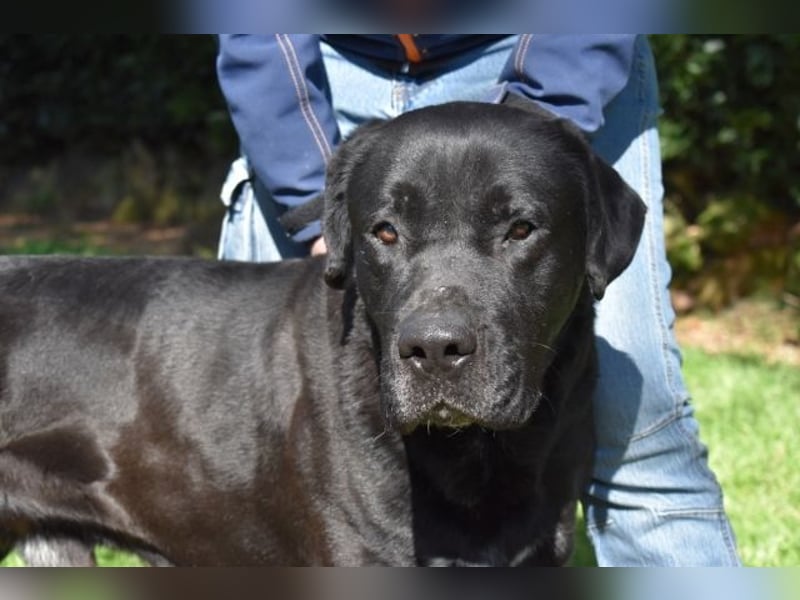 Quilver - Im Stillen reift, was Bestand haben will