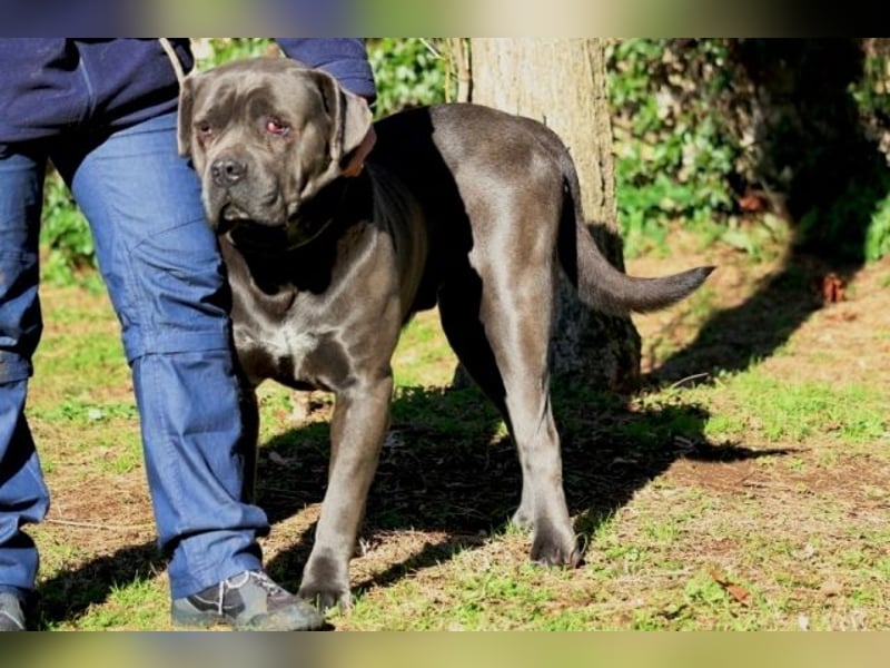 Arkell - SOS - hat Probleme mit den Augen