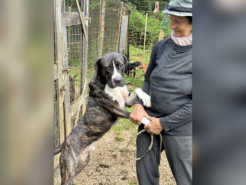 Mars - Sie hatten es doch so fest versprochen!