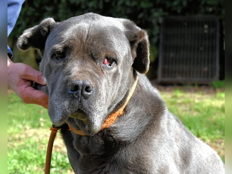 Arkell - Notall - Spuren, die keiner gegangen ist.