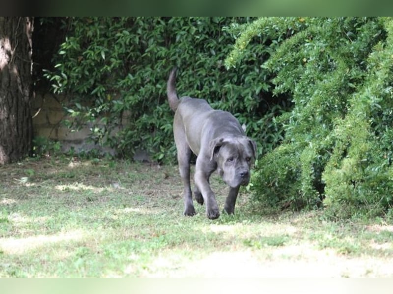 Arkell - SOS - hat Probleme mit den Augen