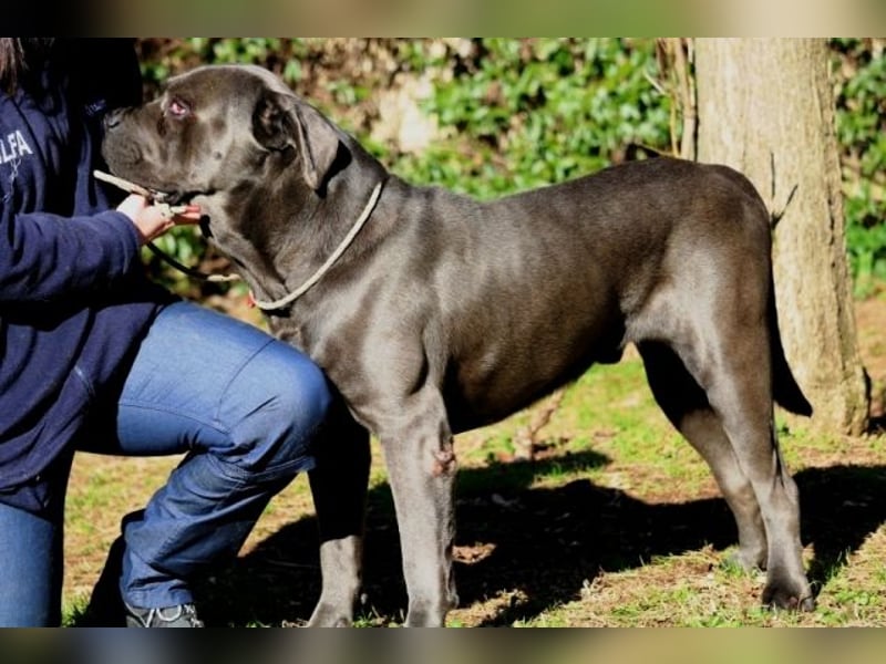 Arkell - Notall - Spuren, die keiner gegangen ist.