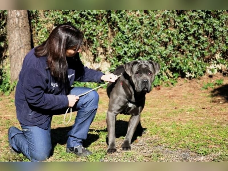 Arkell - SOS - hat Probleme mit den Augen
