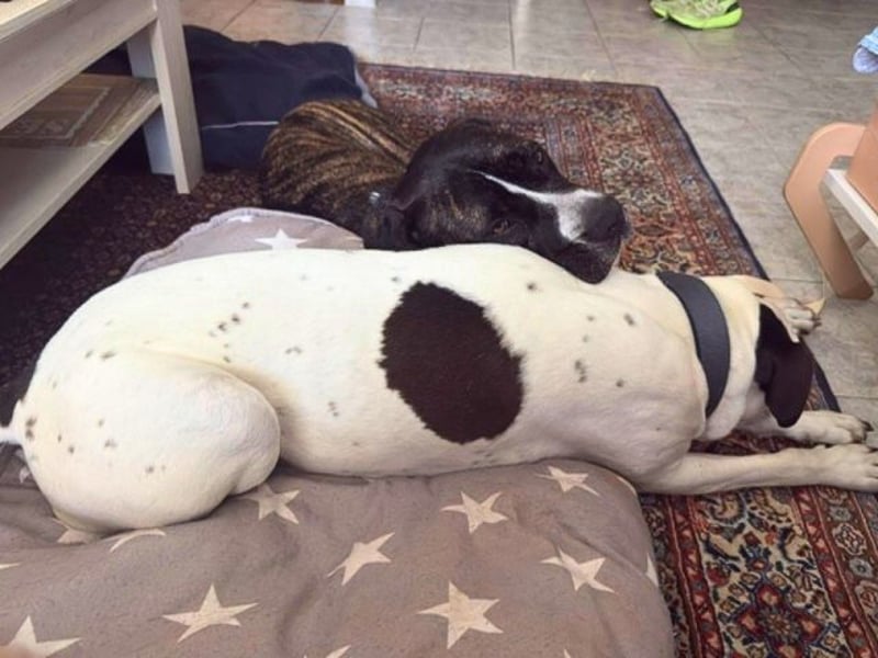 Mars - Sie hatten es doch so fest versprochen!