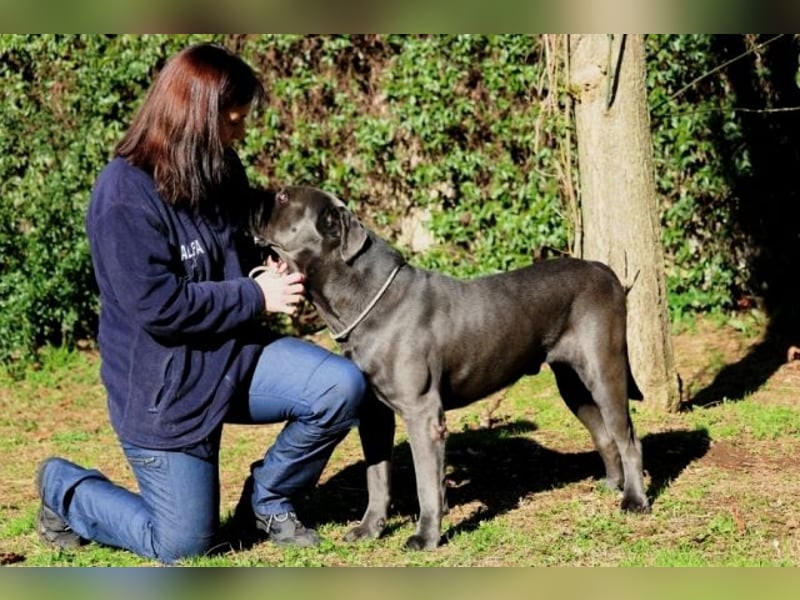 Arkell - SOS - hat Probleme mit den Augen