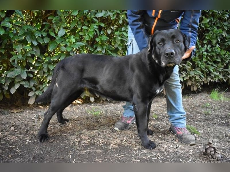 Quilver - Im Stillen reift, was Bestand haben will