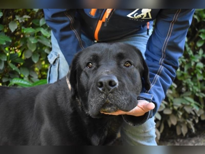 Quilver - Im Stillen reift, was Bestand haben will