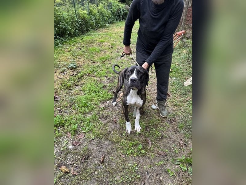 Mars - Sie hatten es doch so fest versprochen!