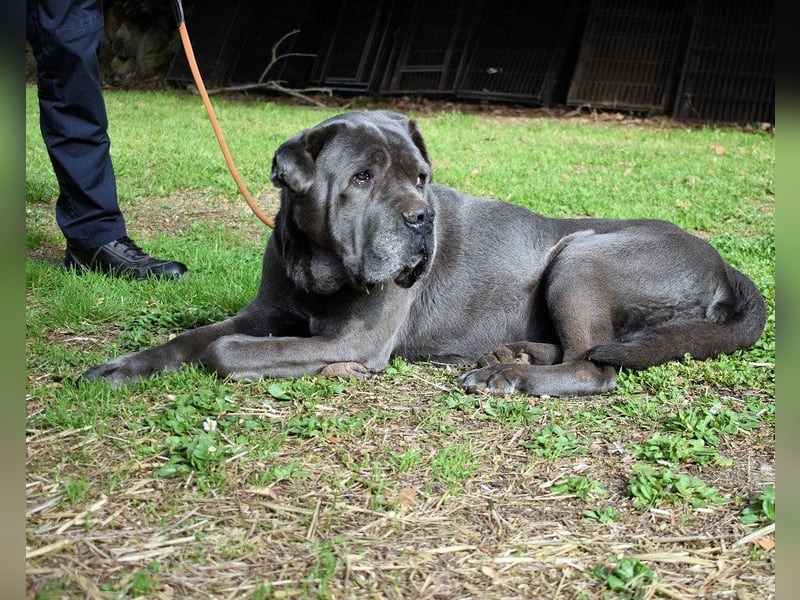 Arkell - Notall - Spuren, die keiner gegangen ist.