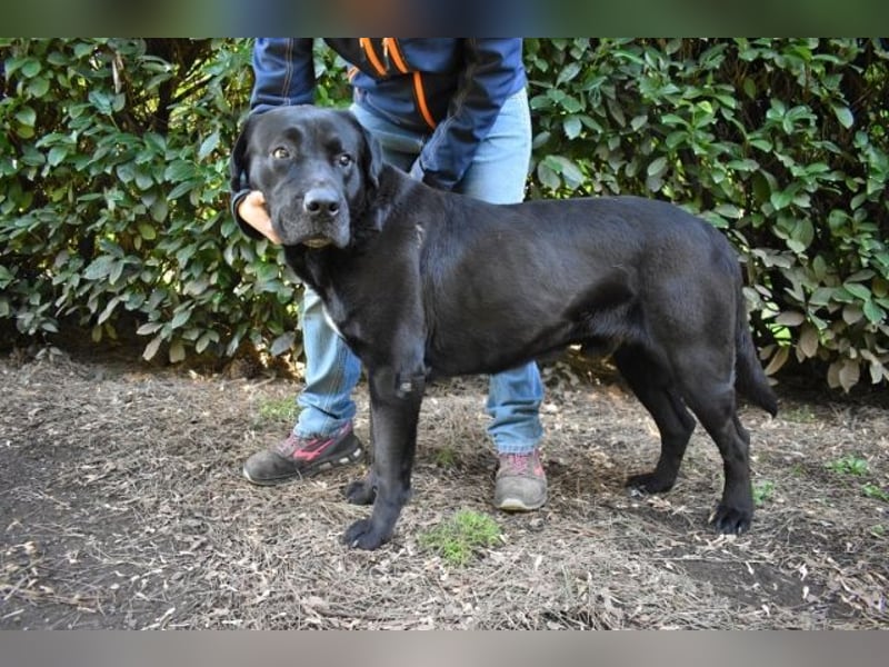 Quilver - Im Stillen reift, was Bestand haben will