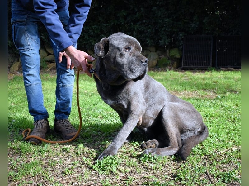 Arkell - Notall - Spuren, die keiner gegangen ist.