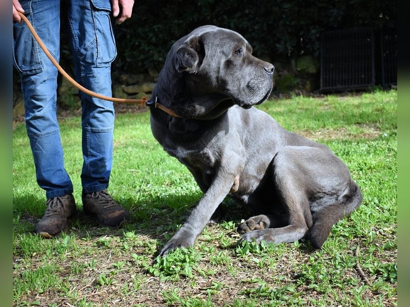 Arkell - Notall - Spuren, die keiner gegangen ist.