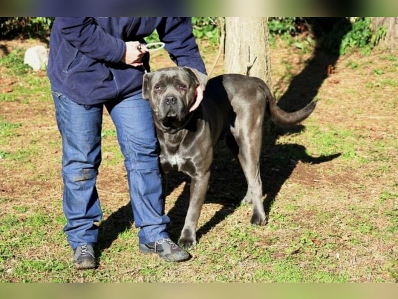 Arkell - SOS - hat Probleme mit den Augen