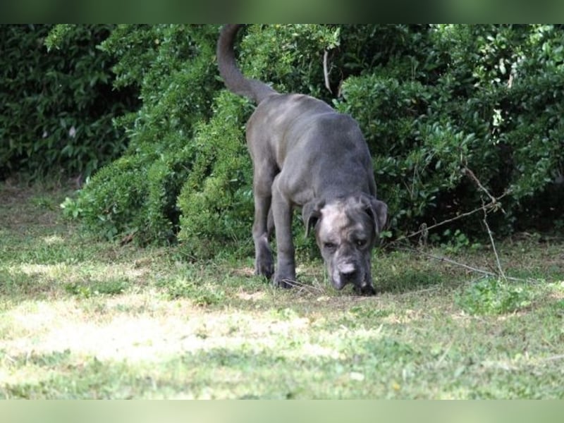 Arkell - SOS - hat Probleme mit den Augen